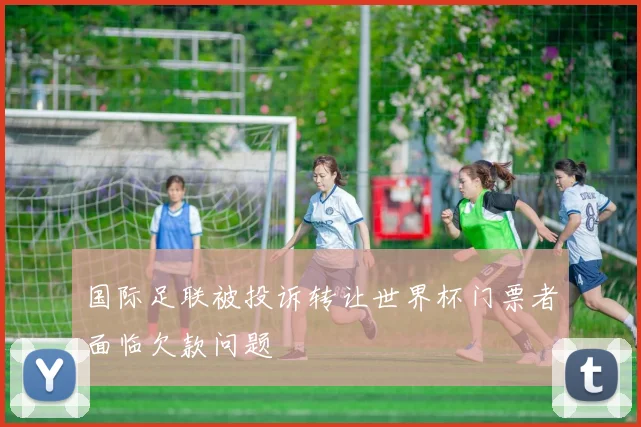 国际足联被投诉转让世界杯门票者面临欠款问题