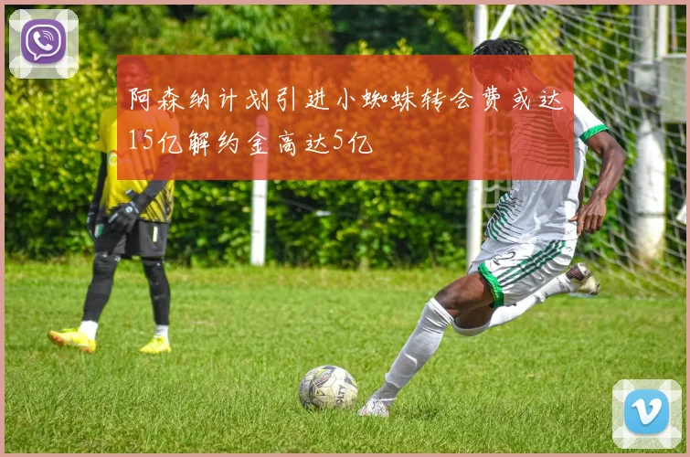阿森纳计划引进小蜘蛛转会费或达15亿解约金高达5亿
